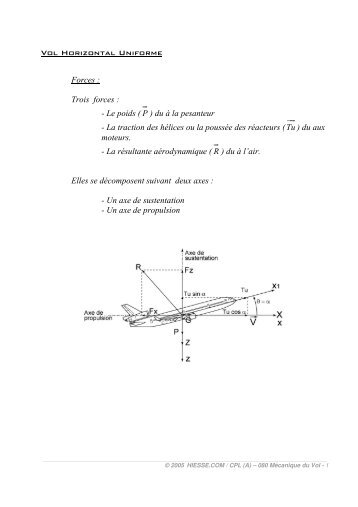 Hesse Schrader Pdf